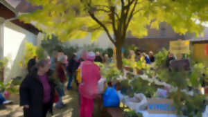 photo Bourse aux plantes