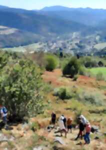 photo Balade commentée : Un océan dans la vallée de la Thur