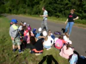 Sortie balade contée dans la Réserve Naturelle d'Offendorf