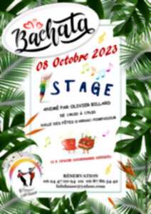 photo Stage de danse : Bachata