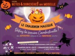 photo Festival Bêtes et Sorcières - Balade contée : Dr Mirmille et le tombeau de Reinheim !