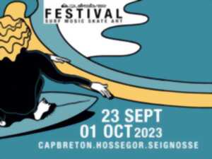 Quiksilver Festival - Skate Event