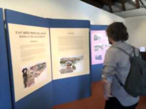 Exposition - La carte postale juive dans la vie alsacienne