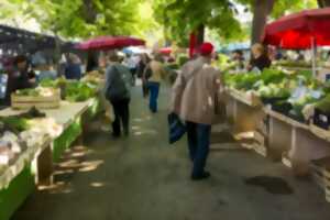 photo Marché de Pithiviers - Vendredi