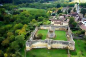 Journées européennes du patrimoine I Château de Molières