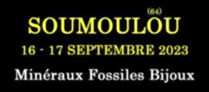 15ème Salon des minéraux fossiles et bijoux