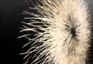 EXPOSITION : « RESPIRATIONS » D'AMANDINE GOLLÉ