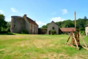 photo Visites du château féodal de La Faye