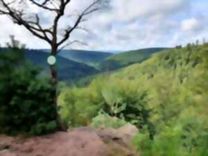 photo Trail des 3 rochers