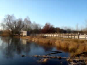 Week-end automnal au naturel au Marais de Sacy