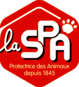 photo JOURNÉE SPA