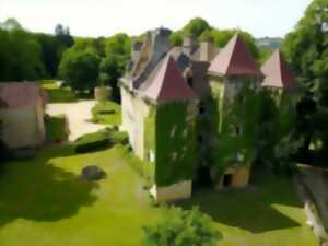 Visites du château féodal de La Faye