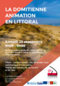 ANIMATION EN LITTORAL