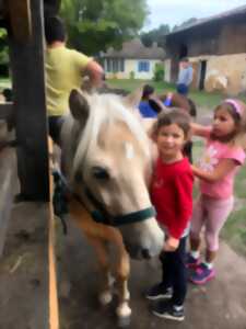 photo Fête du cheval - Lacanau Equi-Passion
