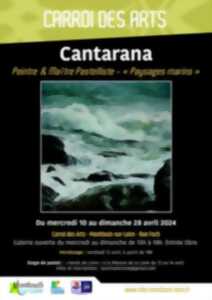 photo Exposition Cantarana - Paysages marins