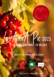 LES AGORA PIC 2023