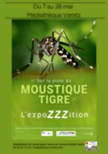 photo : Sur la piste du moustique tigre : une expo piquante à la médiathèque !