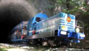 photo JOURNÉES DU PATRIMOINE: LE TRAIN DE L'ANDORGE EN CÉVENNES