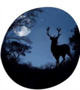 À la rencontre du peuple de la nuit et du brame du cerf