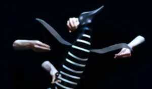 Spectacle de marionnette : le complexe du pingouin