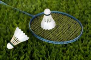 photo Badminton