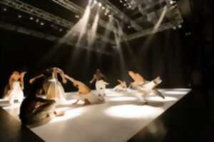 photo Auditorium Sophie Dessus : Immortel.les