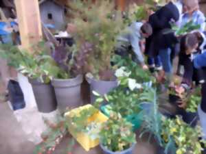 Troc plantes et jardinage