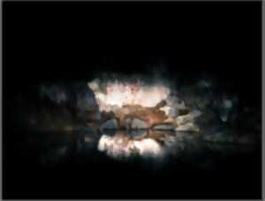 EXPOSITION PHOTO - ERIC RUMEAU, EURYTHMIE