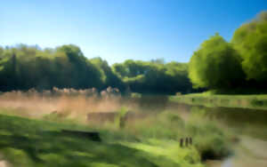 photo Bienvenue sur les espaces naturels sensibles de l'Entre-deux-Mer ! - Espace nature et de loisirs de Blasimon