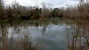 photo Bienvenue sur les espaces naturels sensibles de l'Entre-deux-Mer - Carrière de Jeandillon