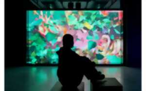 Exposition: From Solastalgia