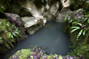 photo Conférence-débat avec Barbara Stiegler et Christophe Pébarthe à Cajarc