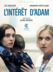 photo Cinéma : Mikado
