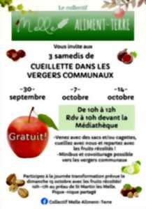 Transformation de fruits