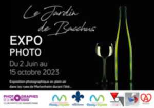 Expo-Photos « Le Jardin de Bacchus »