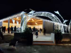 photo Lancement des illuminations