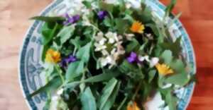 BALADES PLANTES MEDICINALES ET COMESTIBLES