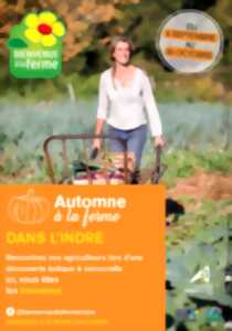 Automne à la ferme