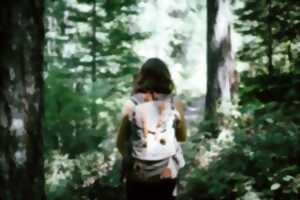 photo Exposition - Valser avec les arbres par-dessus le ciel