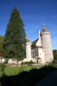 photo Visites du Château d'Etangsannes