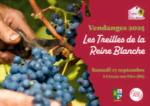 photo Vendanges 2023 Les Treilles de la Reine Blanche