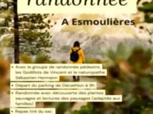 SORTIE RANDONNÉE : CLUB LES GODILLOTS