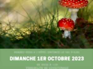 SORTIE MYCOLOGIQUE