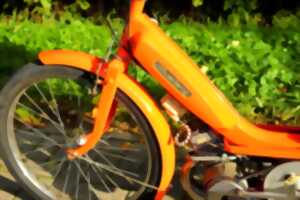 photo Grande Rando mobylette