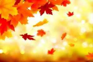 Fêtons l'automne à la Ferme du Parcot