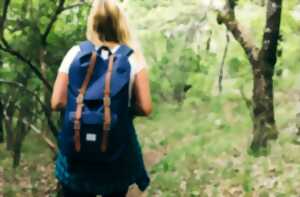 Balade conférence en forêt de Liorac