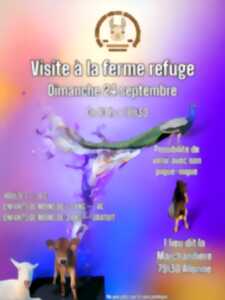 Visite du refuge 