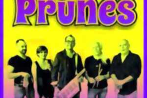 Apéro Concert avec les PP Prunes
