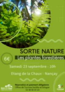 photo Sortie Nature : les plantes forestières