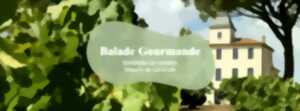 BALADE GOURMANDE AU DOMAINE DE LA BAUME